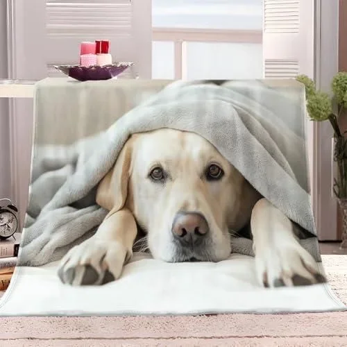 Animal Labrador Retriever Plaid Canape Grande Taille Couleur Claire Plaid Polaire, Couverture et Plaid Canapé Grande Taille en Flanelle Douce et Chaud