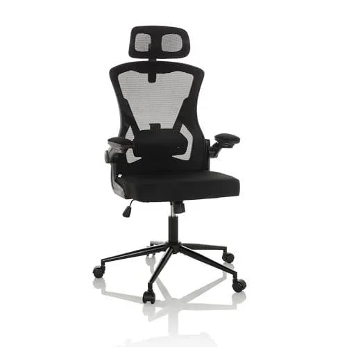 Chaise de Bureau Professionnelle ARIGANO Chaise pivotante Ergonomique avec Dossier Respirant, accoudoirs rabattables, Tissu/Filet Noir, 830122
