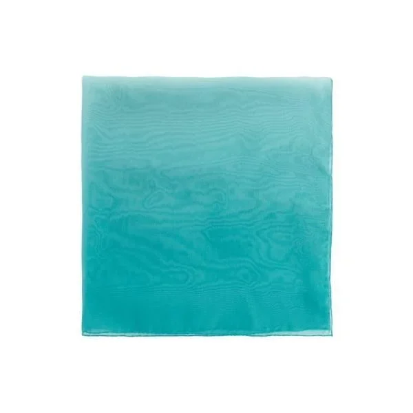 Foulard en soie Bleu
