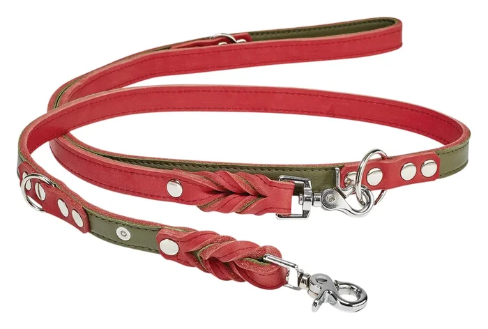 LABONI Laisse en cuir gras nobleweiss rouge-vert L
