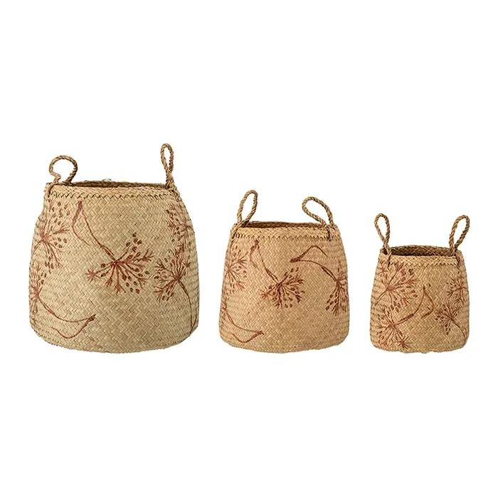 Panier Molli, nature, sagrass
