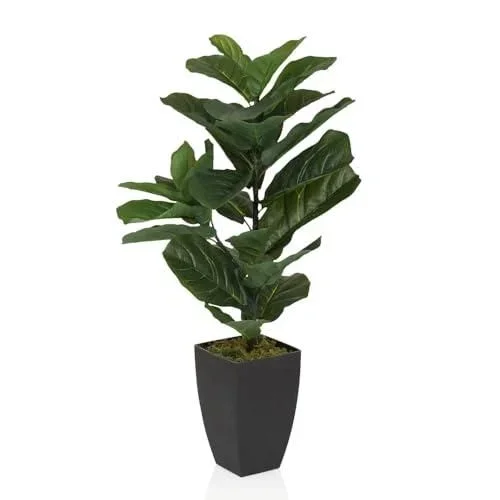 Plante Artificielle 80cm LYRATA Plante décorative Artificielle avec Pot, figuier Exotique pour Salon Chambre Bureau