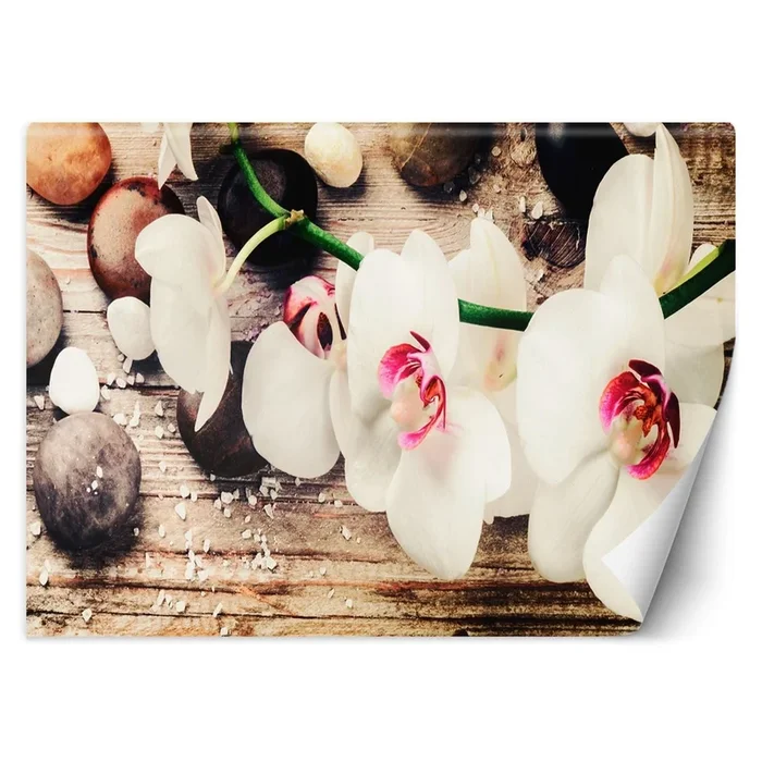 Wallpaper, Zen Orchids